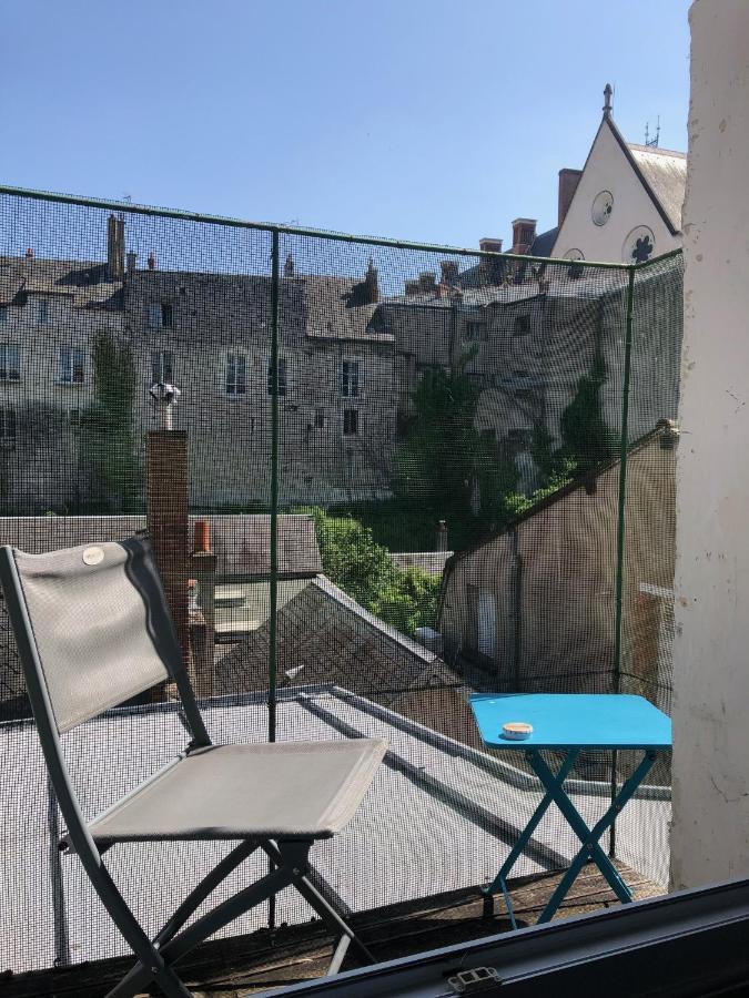 Cote Chateau - Grand Appartement Au Coeur De Blois Ngoại thất bức ảnh