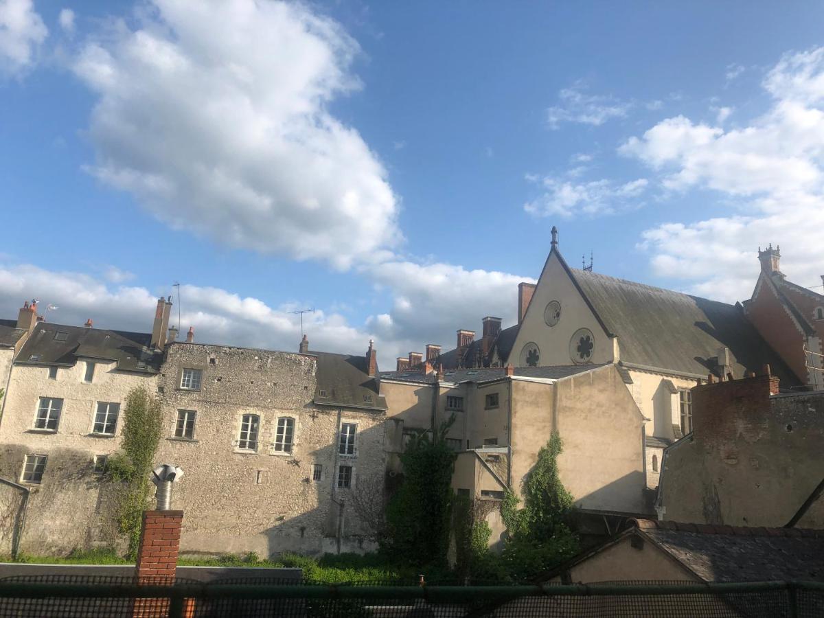 Cote Chateau - Grand Appartement Au Coeur De Blois Ngoại thất bức ảnh