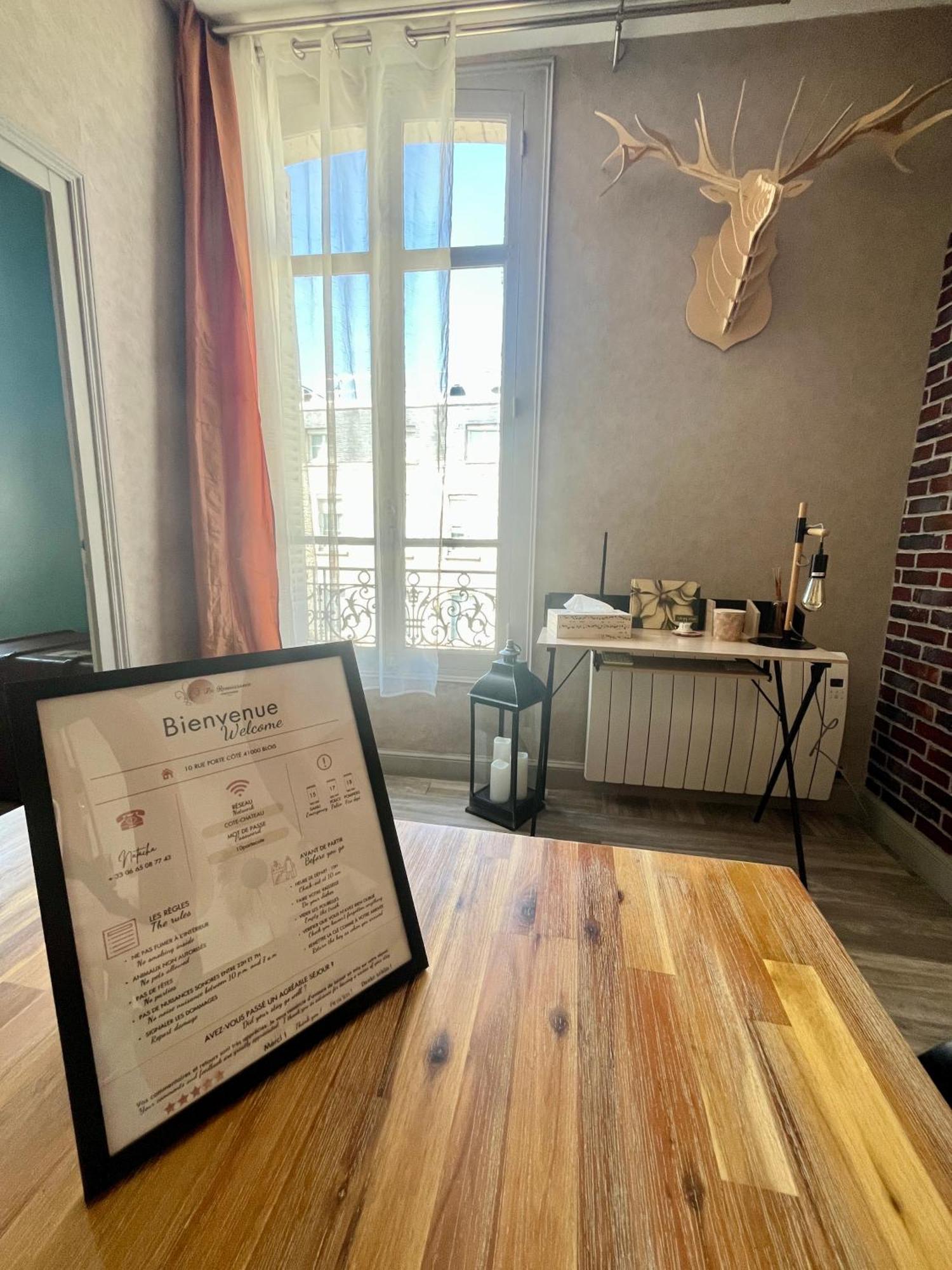Cote Chateau - Grand Appartement Au Coeur De Blois Ngoại thất bức ảnh